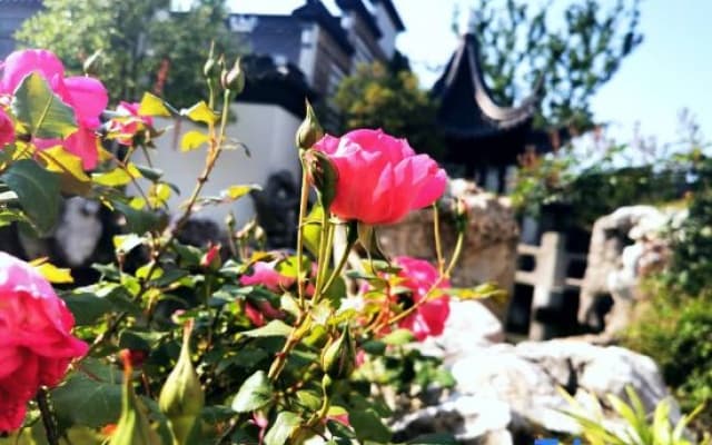 Qinyuan Art Hostel