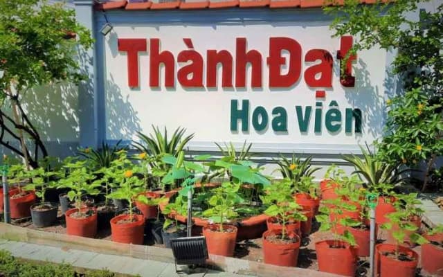 Thanh Dat Resort
