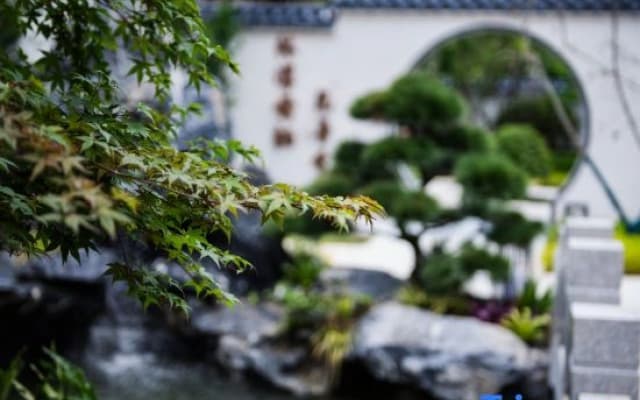 Qingxi Wushe B&B
