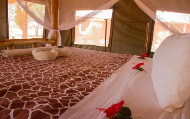 Lake Jipe Safari Camp