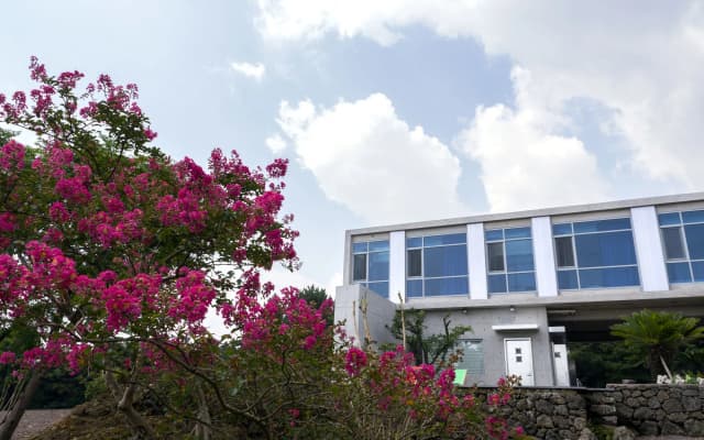 Jeju Color In Jeju Pension