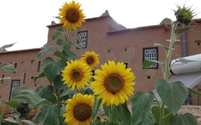 Kasbah Izoran