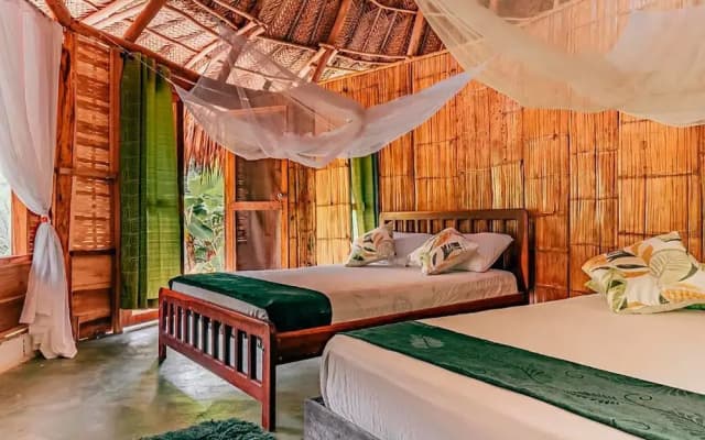 Magic Greeen Tayrona