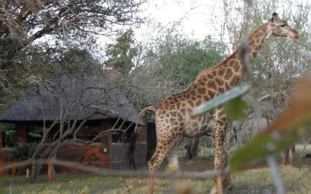 Doringpoort Safari Lodge
