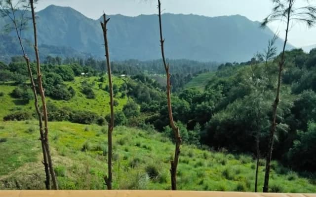 Lava View Lodge