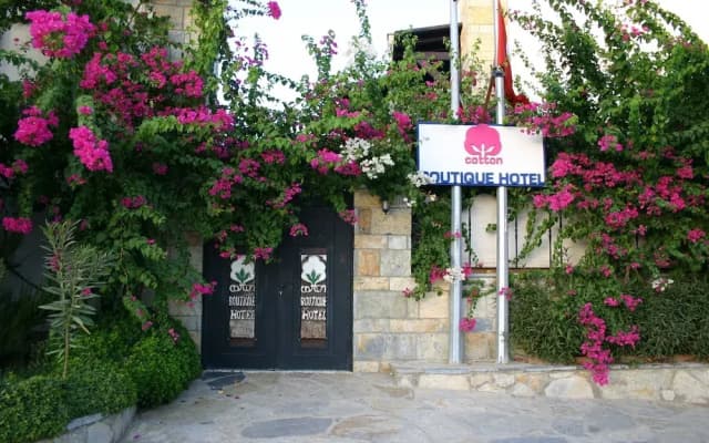 Cotton Boutique Hotel 16+