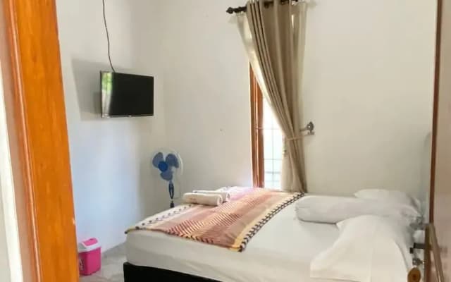 ZG Home Solo