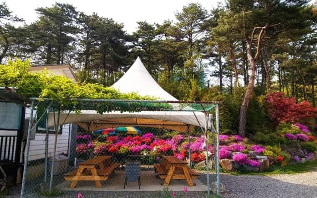 Yongin Byeolbaragi Pension