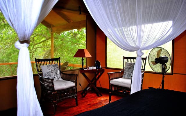 Lion Tree Top Lodge