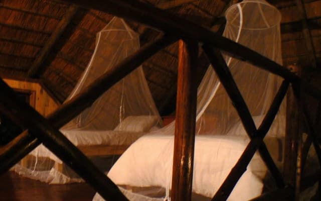 Lion Tree Bush Lodge
