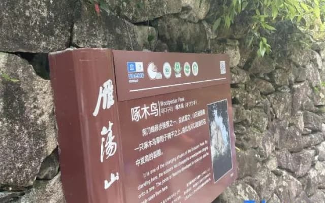 Yandang Montain Quansheng Yanyu Homestay