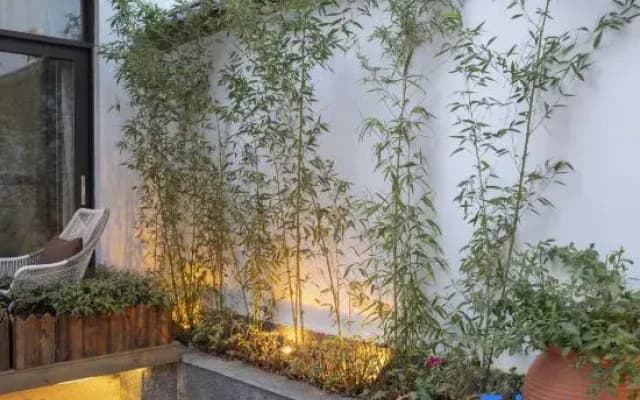 Floral Lux Hotel · living in another courtyard (Lijiang ancient city light luxury store)