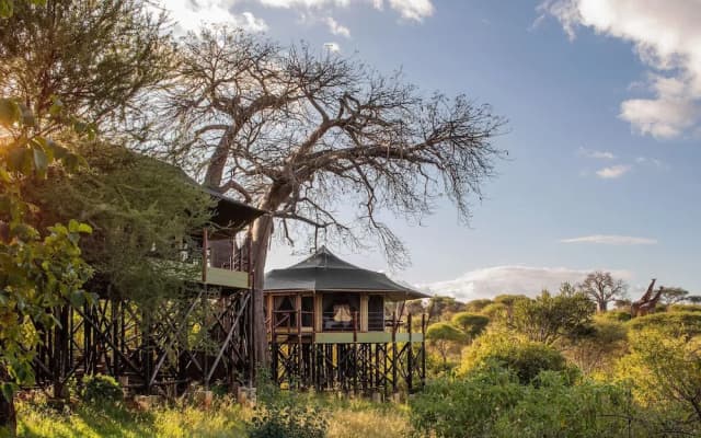 Tarangire Kuro Treetop Lodge