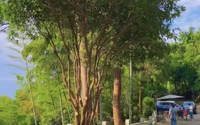 Liang xi shan ju Homestay