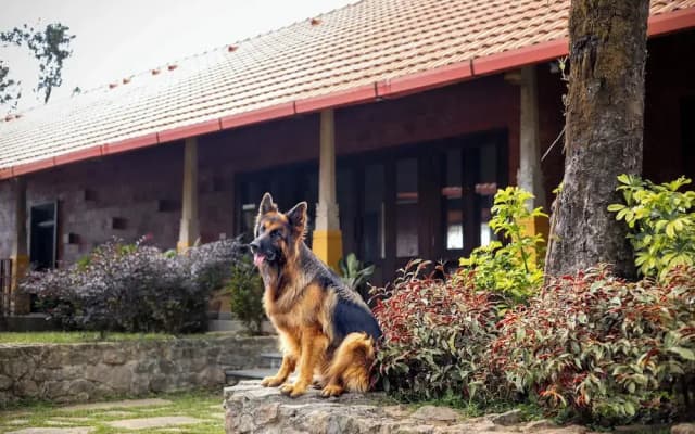 Amã Stays & Trails Alpenhof , Coorg