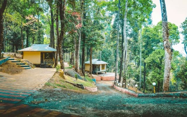 Vythiri Wild Forest Resort