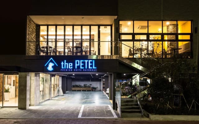 Sleep with Your Own Pet Only - The Petel