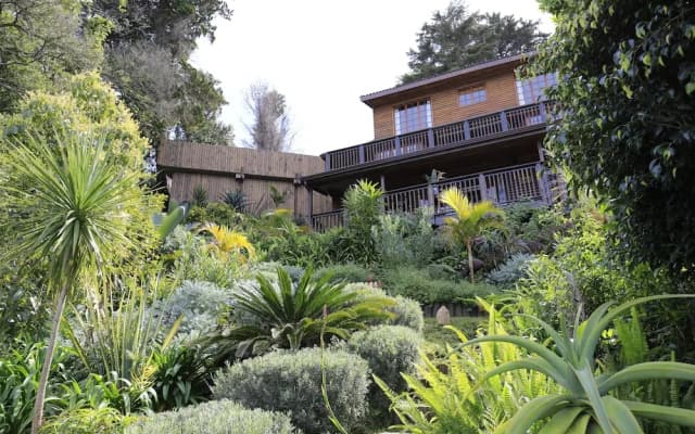 Big Tree House Lodge