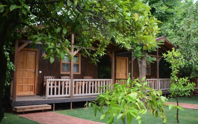 Caretta Caretta Pension