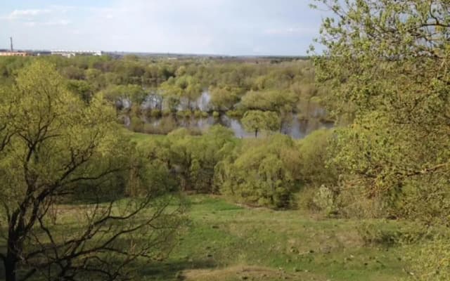 Водолей