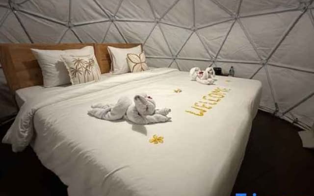 Glamping @ Pebbles & Fins