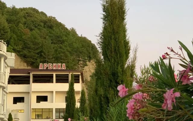 Арбика