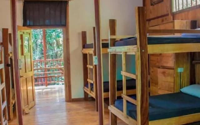 Burnt Toast Surf Camp - Hostel