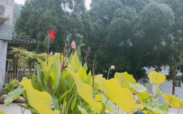 Laodifang Qixian Shuyuan