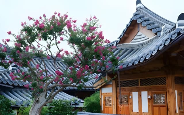 Dajeong Guesthouse - Hostel