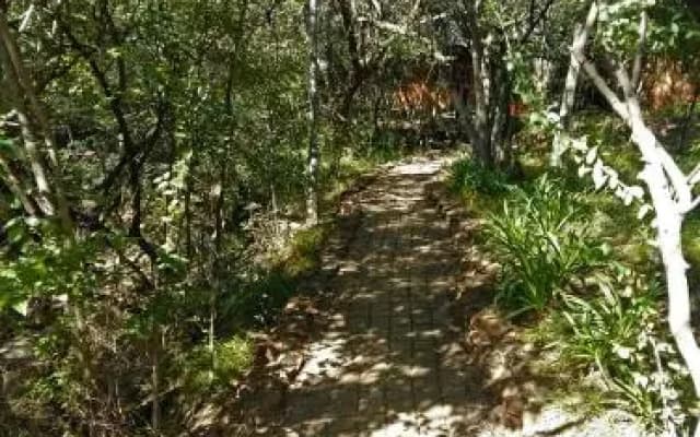 Warthogs Bush Camp