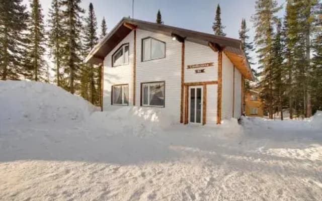 Forest House