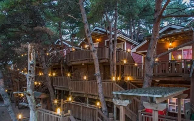 hwengsung painbell pension