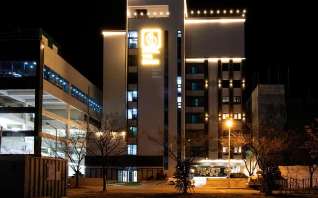 The Brain Hotel