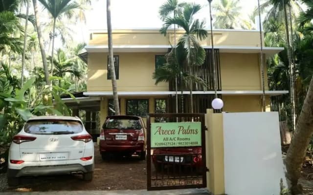 Areca Palms