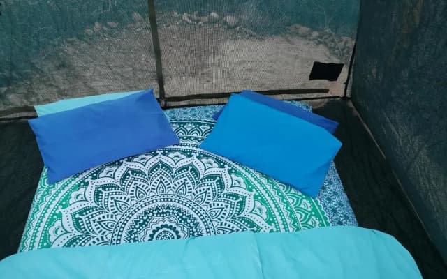 Amber Lagoon Backpackers Lodge