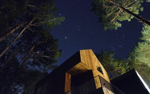 Mơ Stay Forest Resort