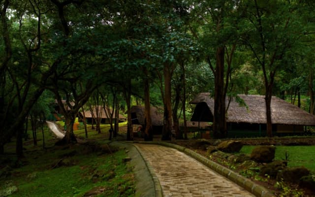 K. Gudi Wilderness Camp