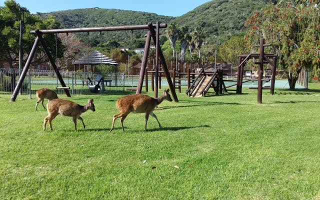 Brenton Park Holiday Cottages