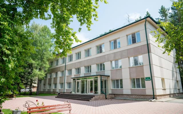 Борвиха