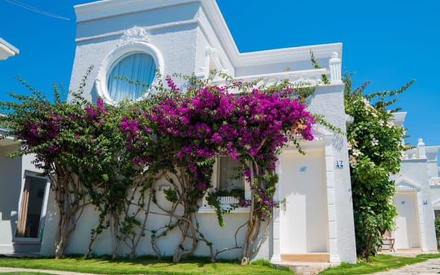 Art Suites Hotel Bodrum