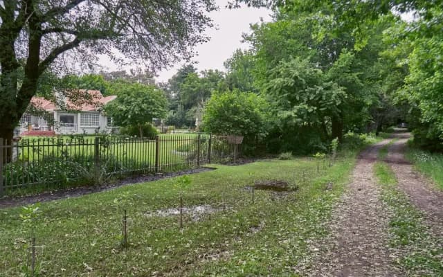 Forest Lane