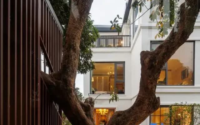 Lush Hostel