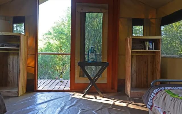 Wild Olive Tree Camp