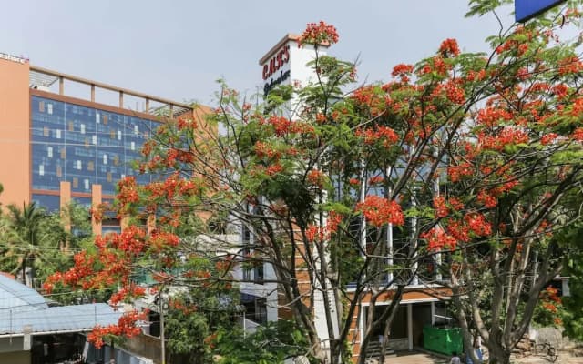Treebo Trend CMKs Gulmohar Suites