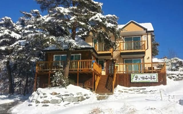 Gangneung Pine & Cinnamon Tree Pension