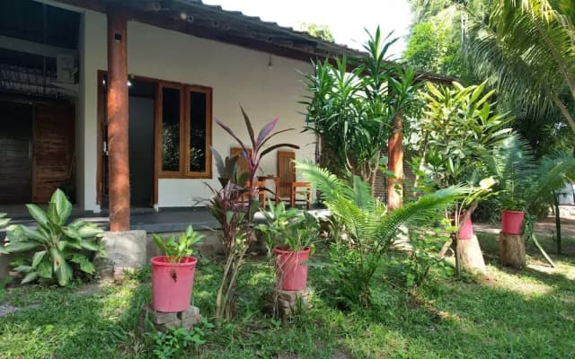 Coconut homstay