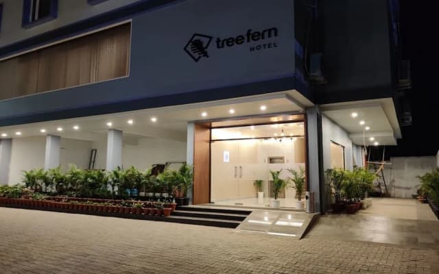 Hotel Tree Fern
