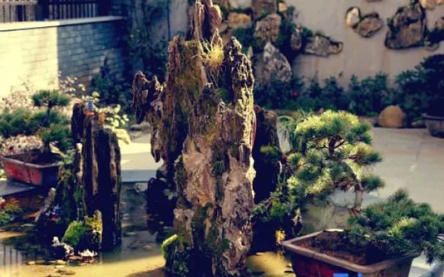 Tianshe Courtyard View Leisure Resort Villa Mountain Su (Anji Yunshang Grassland Resort)