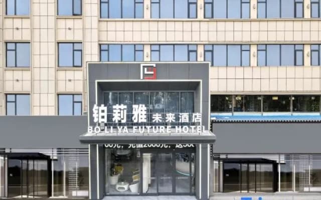 Boliya Future Hotel