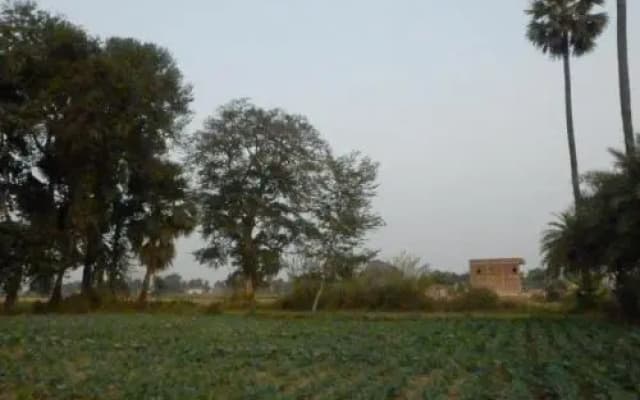 Senamura Yoga Ashram Guesthouse